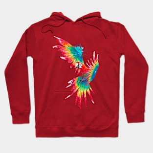 Scarlet Macaw Hoodie